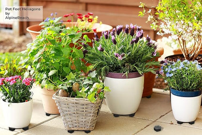 AlpineReach Extra Heavy Duty Pot Feet Risers 20 Pack Hexagons & Adhesive Pads - Protect Healthy Plants - Strong Invisible Supports Small Large Flower Planters Stability - Outdoor Lifter Toes Elevator