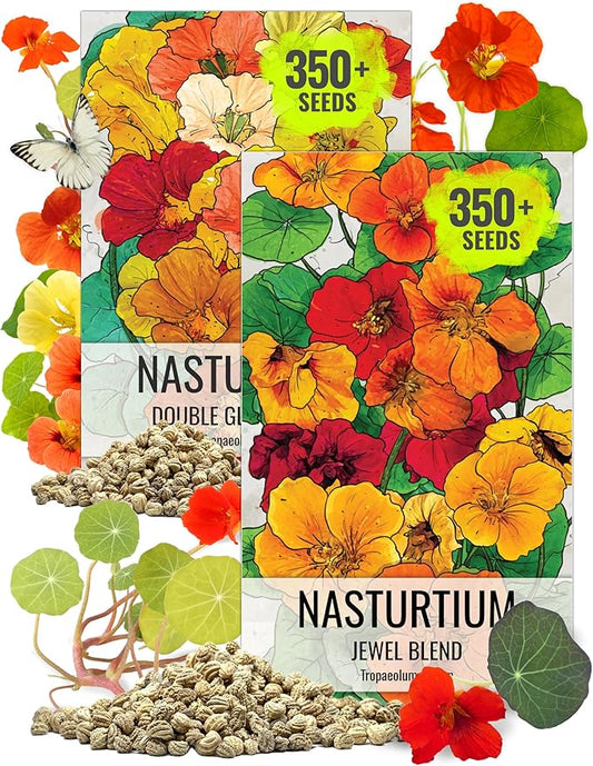 Seed Needs Nasturtium Seeds for Planting Edible Flowers | Bulk Collection Set of Jewel Blend & Double Gleam Nasturtiums | Colorful Blooms Attract Pollinators | Trailing and Bush Varieties