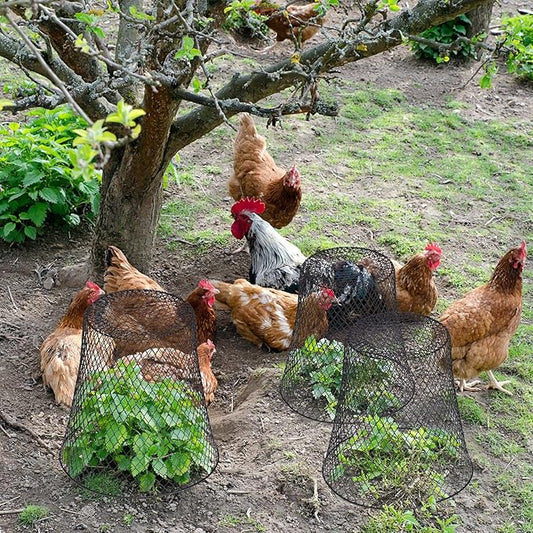 Geosar 20 Pcs 9 inch Chicken Wire Cloche Plant Protector Cover Metal Garden Cloche Dome for Plants Chicken Wire Protection Basket with Garden Stakes for Avoiding Rabbit Bird Small Animals Eat (Black)