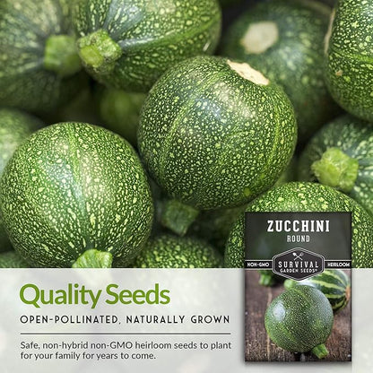 Round Zucchini Seed for Planting - Plant and Grow Small Green Zucchinis in Your Home Vegetable Garden - Non-GMO Heirloom Variety - Survival Garden Seeds (1 Pack)