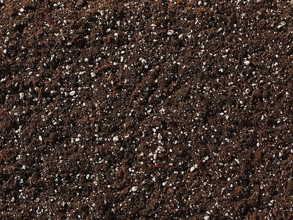 Black Gold Natural & Organic Potting Mix 8qt