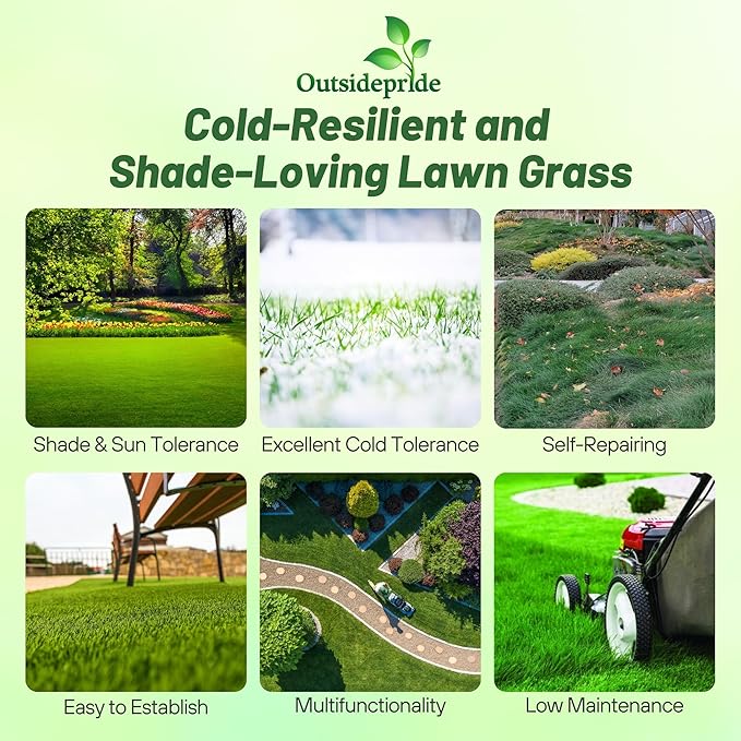 Outsidepride Creeping Red Fescue Grass Seed - 25 Lbs. Cool Season, Soft Textured, Self-Repairing Fine Fescue Grass Seeds for Lawn w/OptiGrowth Coating, Ideal for Dryland Cover Crop & Landscaping