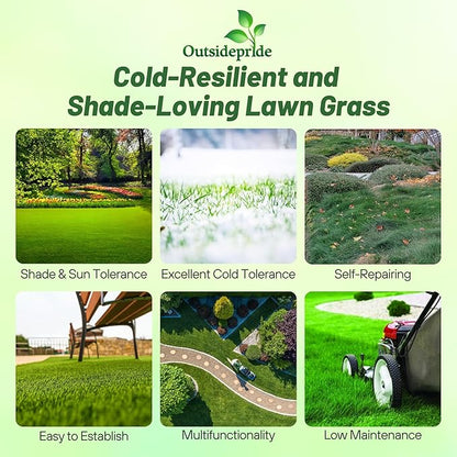 Outsidepride Creeping Red Fescue Grass Seed - 25 Lbs. Cool Season, Soft Textured, Self-Repairing Fine Fescue Grass Seeds for Lawn w/OptiGrowth Coating, Ideal for Dryland Cover Crop & Landscaping