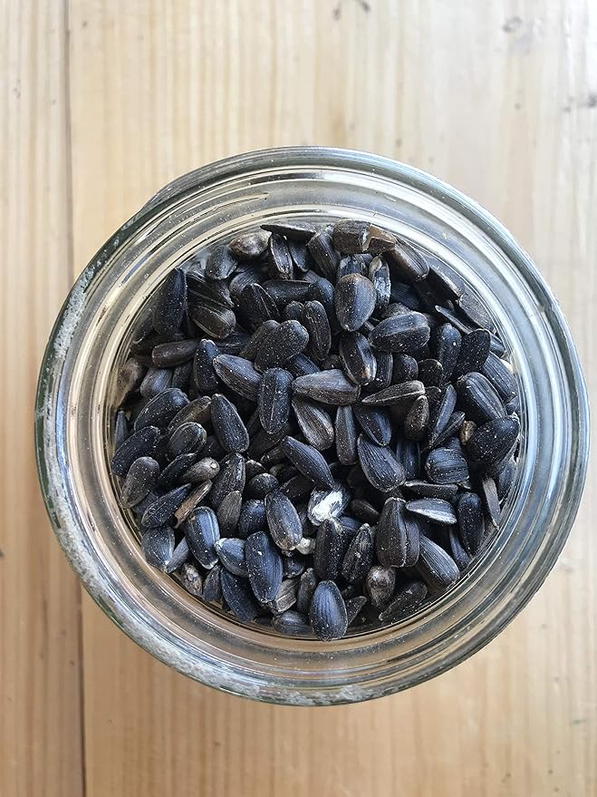 Ernst Grain & Livestock Black Oil Sunflower Seeds - Birdseed for Outside Feeders Wild Bird Food - Ideal Bird Seed for Cardinals, Woodpeckers and More - Non-GMO, 25lb