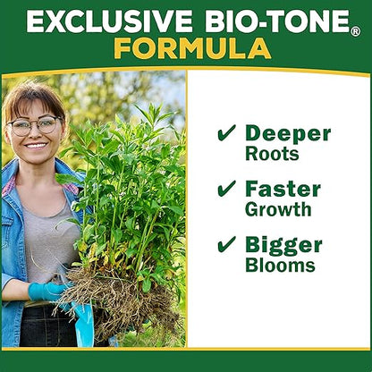 Espoma Organic Holly-Tone 4-3-4 Natural & Organic Evergreen & Azalea Plant Food; 8 lb. Bag; The Original & Best Fertilizer for All Acid Loving Plants Including Rhododendrons & Hydrangeas. Pack of 3