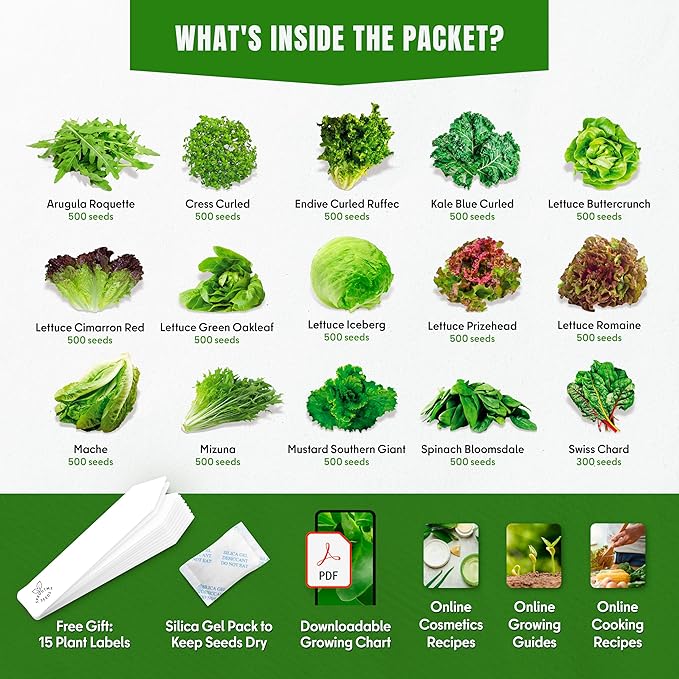 Lettuce & Salad Greens Seeds Variety Pack – Spinach, Kale, Arugula, Romaine & Iceberg Lettuce – 15 Varieties, 7300+ Non-GMO Heirloom Seeds, Indoor & Outdoor Growing