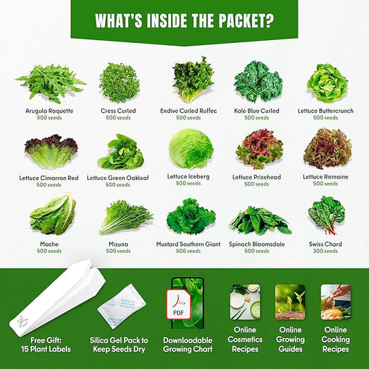 Lettuce & Salad Greens Seeds Variety Pack – Spinach, Kale, Arugula, Romaine & Iceberg Lettuce – 15 Varieties, 7300+ Non-GMO Heirloom Seeds, Indoor & Outdoor Growing