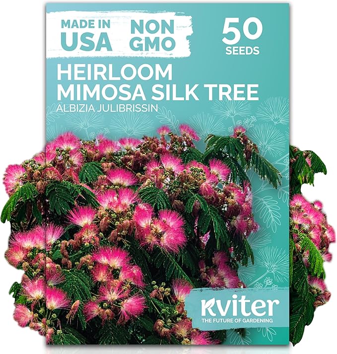 KVITER 50 Mimosa Silk Tree Seeds (Albizia Julibrissin) – Pink Flowering Trees, Fragrant Blooms & Pollinator Magnet, Non-GMO – Great Both as Bonsai Tree Seeds for Indoor Garden & Outdoor Landscape