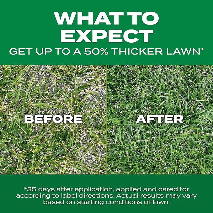 Scotts Turf Builder Thick'R Lawn Tall Fescue Mix, Combination Seed, Fertilizer and Soil Improver, Thickens Thin Grass, 12 lbs
