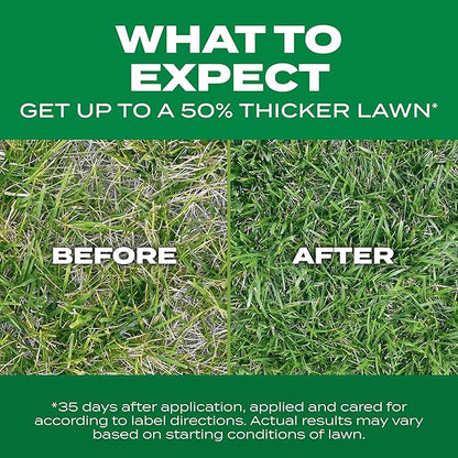 Scotts Turf Builder Thick'R Lawn Tall Fescue Mix, Combination Seed, Fertilizer and Soil Improver, Thickens Thin Grass, 12 lbs