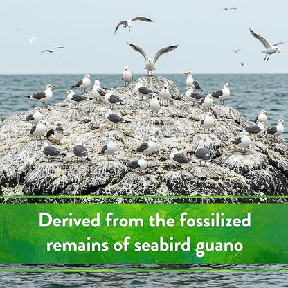 Down To Earth All Natural Fertilizers Organic Seabird Guano - High Phosphorus Plant Food for Buds, Blooms, Flowers 0-11-0, 20 lb