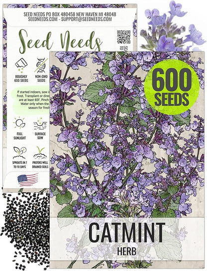 Seed Needs Catmint Seeds for Planting an Indoor/Outdoor Herb Garden - Non-GMO Heirloom & Untreated Herbal Plants - Great for Cats Nepeta mussinii (1 Pack)