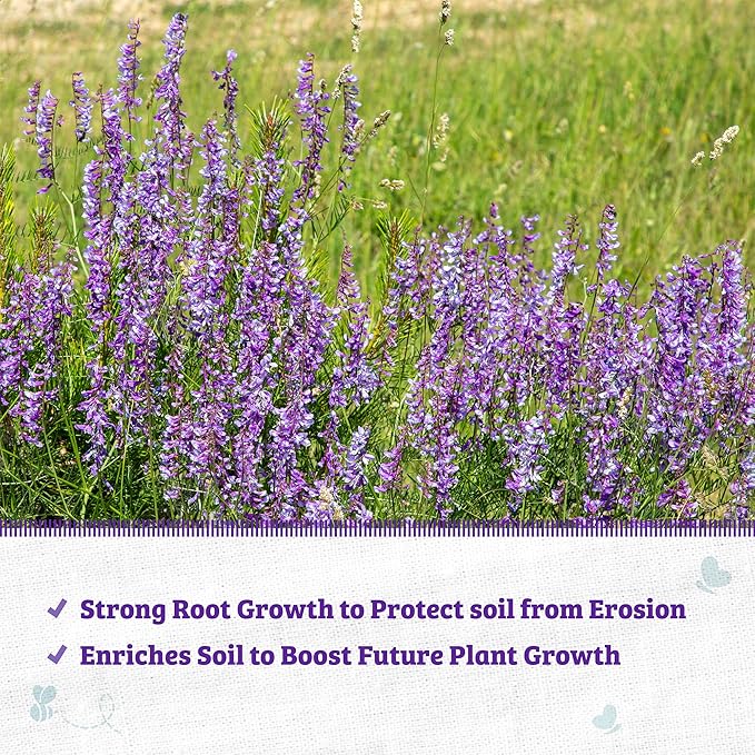 Back to The Roots 100% Organic Hairy Vetch Cover Crop Seeds, Covers ~1000 sq. ft.