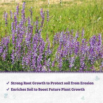 Back to The Roots 100% Organic Hairy Vetch Cover Crop Seeds, Covers ~1000 sq. ft.
