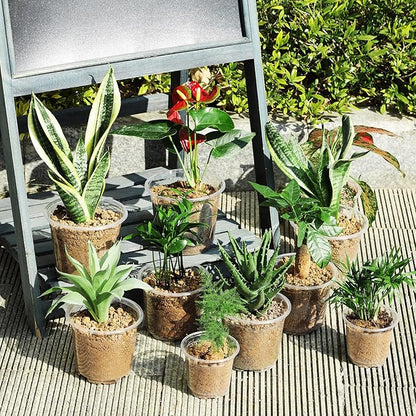 60 Pack 3.5/4/5 Inch Reinforced Clear Nursery Pots with Drainage Holes, Transparent Variety Pack Plastic Plant Pot Seed Starter Pots Flower Pots Come with 50pcs Plant Labels