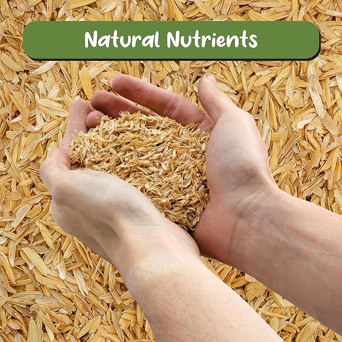 Soil Sunrise Organic Horticultural Grade Rice Hulls (8 Quarts) All-Natural Soil Amendment for Houseplants, Gardening, Seed Starting & Chicken Bedding