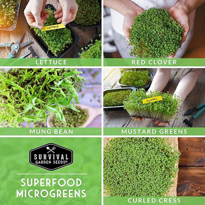 Microgreens Seeds 5-Variety Pack for Sprouting – Mustard, Mung Bean, Curled Cress, Clover & Lettuce Seed for Indoors – Fast-Growing Non-GMO Heirloom Starter Pack – Survival Garden Seeds