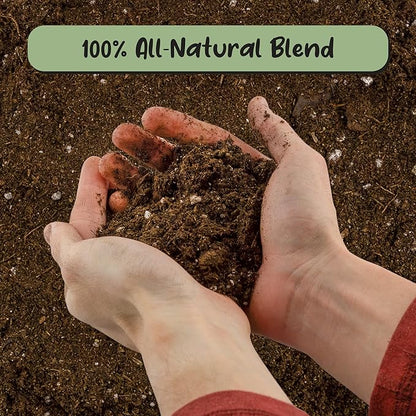 Soil Sunrise Peace Lily Potting Soil Mix (8 Quarts) for Planting, Growing, or Repotting Peace Lily Plants