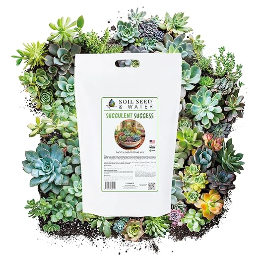Soil Seed & Water Succulent Success Potting Mix – Fast-Draining Soil for Succulents, Cactus & Houseplants - Indoor and Outdoor Mix - OMRI Listed
