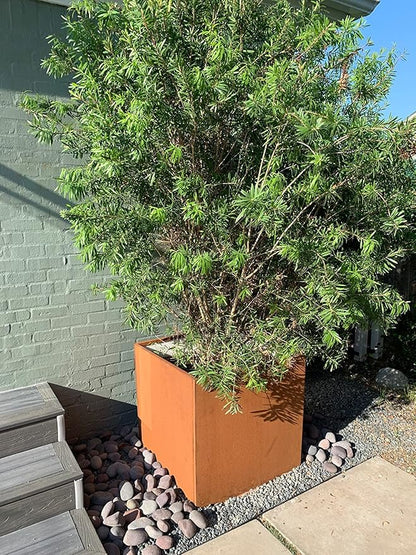 Corten Steel Planter Box Metal Square Planters 26 Inch Steel Large Outdoor Planter Tall Plant for Commercial Residential Patio and Backyard
