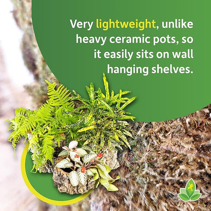 Josh's Frogs Virgin Cork Planters (4 inch Tall)