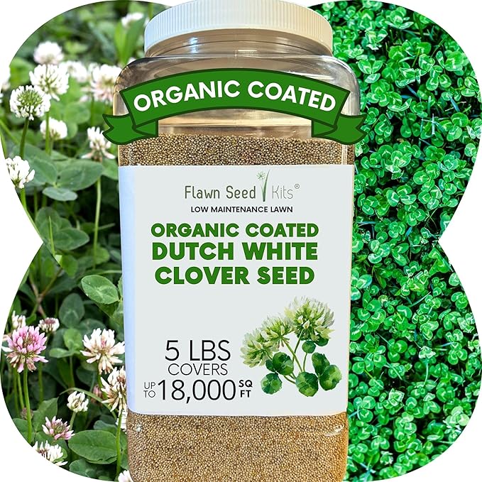 Flawn Seed Dutch White Clover Seed, 5 Lbs, Organic Coated, Natural Lawn, Ground Cover, Food Plot, Zones 3-9, Covers up to 18,000 Sqft