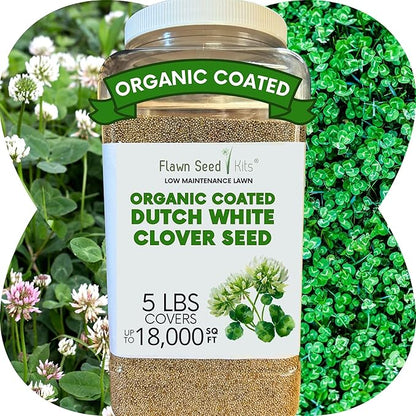 Flawn Seed Dutch White Clover Seed, 5 Lbs, Organic Coated, Natural Lawn, Ground Cover, Food Plot, Zones 3-9, Covers up to 18,000 Sqft