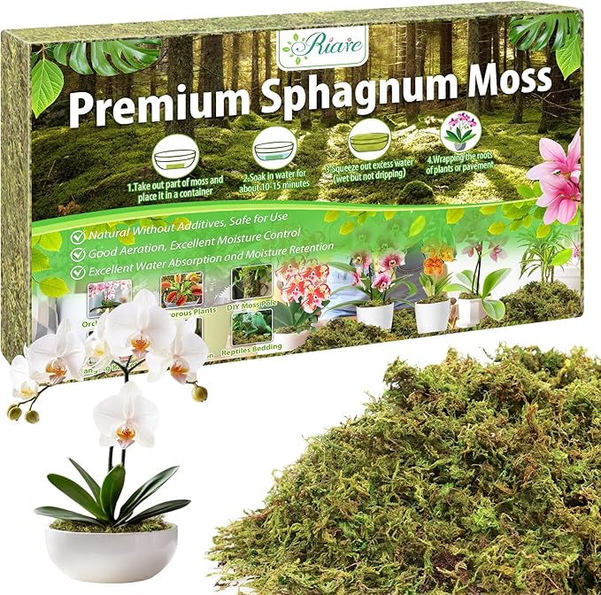 Riare 3.5OZ Premium Sphagnum Moss for Plants- 4QT Natural Dried Plant Moss for Potted Plants, Orchid Moss for Repotting, Soft Green Decorative Moss for Succulents, Reptiles & DIY Crafts