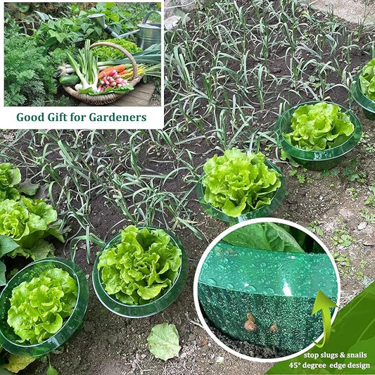 Fshow Garden Cloches，15 Pack Plastic Slug & Snail Plant Protection Collars,Snail Defense Without Chemistry, Snail Collar Protects Plants to Get Better. (Emerald Green)