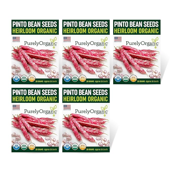 Organic Pinto Bean Seeds - USDA Organic, Non-GMO, Open Pollinated, Heirloom, USA Origin (5 Packets - 100 Grams - Approx 180 Seeds)