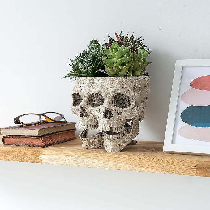 Kobi & Knight Skull Planter Pot for Indoor Plants - Skull Flower Pot in Gift Box - Gothic Planter Pot for Succulents, Brain Cactus Plants - Double Skull Planters for Halloween, Goth Home Decor