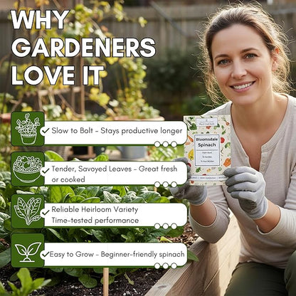 Bloomsdale Long Standing Spinach Seeds for Planting – Heirloom Spinach Seeds for Home Gardens, Tender Baby Spinach Leaves, Cold Hardy Variety for Spring & Fall Growing | Woods Creek Seeds