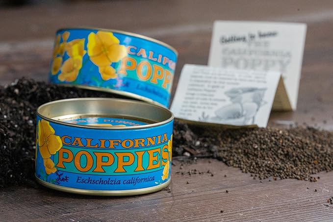 California Poppy | Flower Seed Grow Kit | The Jonsteen Company