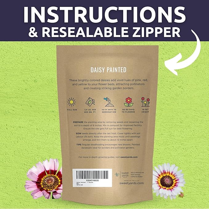 Painted Daisy - Bulk 1/4 Pound Pouch - 40,000 Flower Seeds for Planting - Chrysanthemum carinatum