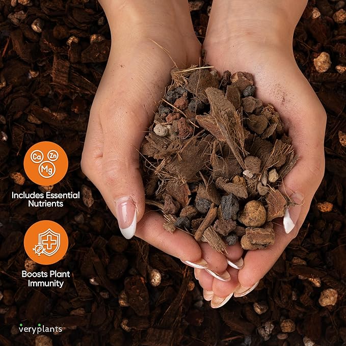 Molly's Orchid Potting Mix - Premium Gritty Soilless Orchid Mix - Chunky High Drainage vs Standard Potting Soil for Indoor Plants - Contains Bark, Coco Chips, Akadama, Pumice, Lava Rock 10 Dry Quarts