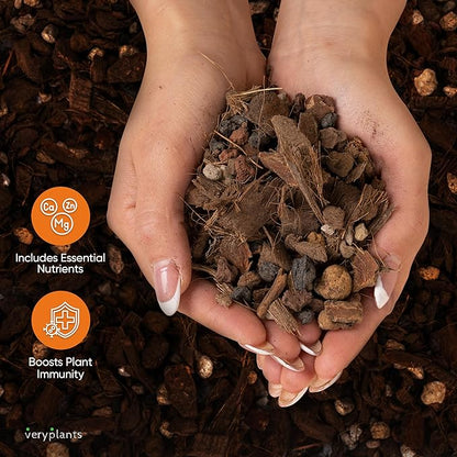 Molly's Orchid Potting Mix - Premium Gritty Soilless Orchid Mix - Chunky High Drainage vs Standard Potting Soil for Indoor Plants - Contains Bark, Coco Chips, Akadama, Pumice, Lava Rock 10 Dry Quarts