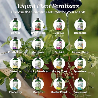 Professional Liquid Bromeliad Plant Fertilizer | 3-1-2 Concentrate for Plants and Flowers | Multi-Purpose Blend & Gardening Supplies | 8 oz Bottle
