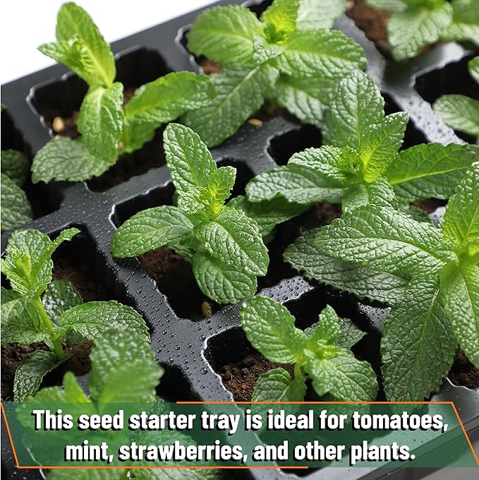 Mr. Pen 5-Set Seed Starter Tray Kits, Durable Plant Germination Trays with Humidity Vented Domes and Bases, Ideal for Seed Starting, Indoor Gardening, and Greenhouse
