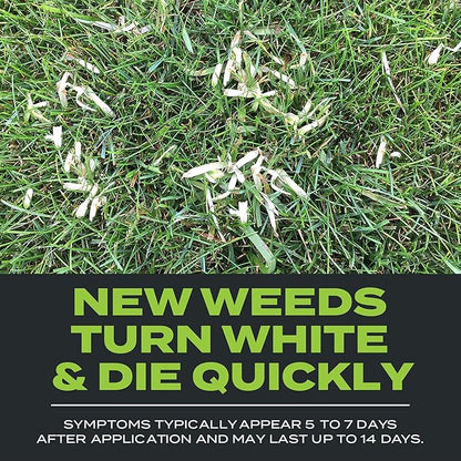 Scotts Turf Builder Triple Action Built for Seeding - Weed Preventer Plus Fertilizer, 4,000 sq ft (2-Pack)