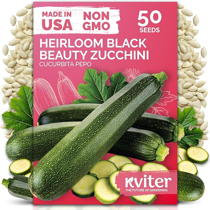 KVITER 50 Black Beauty Zucchini Seeds for Planting (Cucurbita Pepo) – Non-GMO Heirloom Vegetable Seeds, Open Pollinated – Summer Squash for Outdoors Planting in Garden, Raised Mounds, Containers
