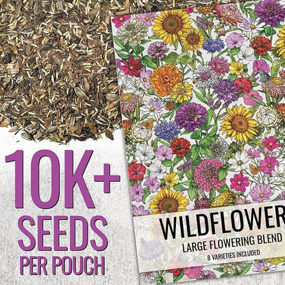 Seed Needs 2 Ounce Large Blooms Mix Hummingbird and Butterfly Garden Wildflower Flower Seeds for Planting | 7 Varieties Open Pollinated | Resealable Package Live Wild Flower Seed | Bulk