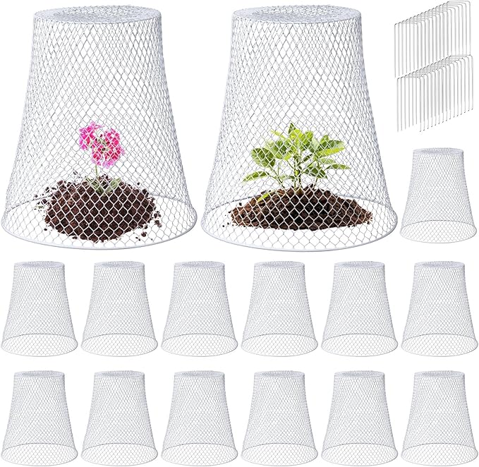 Therwen 15 Pcs Large Chicken Wire Cloche Plant Protector Cover 11x12 Inch Metal Garden Cloche Dome for Plants Wire Protection Basket with Garden Stakes Plant Cages from Animals (White)