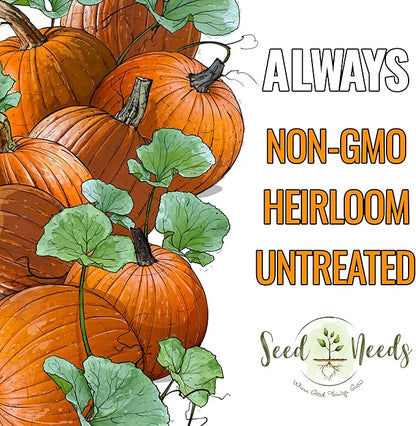 Seed Needs Connecticut Field Pumpkin Seeds for Planting | 1 Ounce Cucurbita Pepo Heirloom Vegetable Seeds Non GMO | American Field Favorite Carving Pumpkin | Bulk