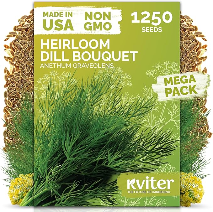 KVITER 1250 Dill Seeds for Planting (Anethum graveolens) - Bouquet Dill, Early Flowering, Strong Aroma, Non Gmo Seed Packets - Heirloom Herb Seeds for Outdoor & Indoor Garden, Raised Beds & Containers