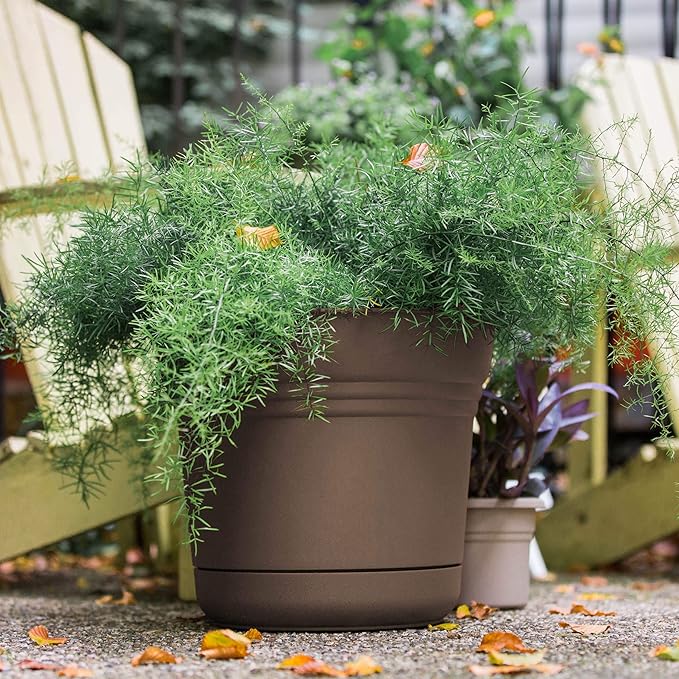 Bloem Saturn Planter with Saucer, 7", Chocolate (SP0745)