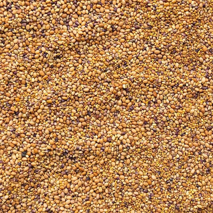 Clover Trio Seed Blend – Premium 5 Lb Bulk ~896,000 Seeds – Red, White & Crimson Clover – Cover Crop & Soil Enrichment Mix