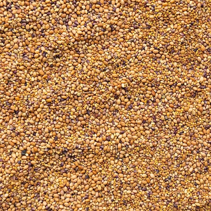 Clover Trio Seed Blend – Premium 4 oz ~44,800 Seeds – Red, White & Crimson Clover – Cover Crop & Soil Enrichment Mix