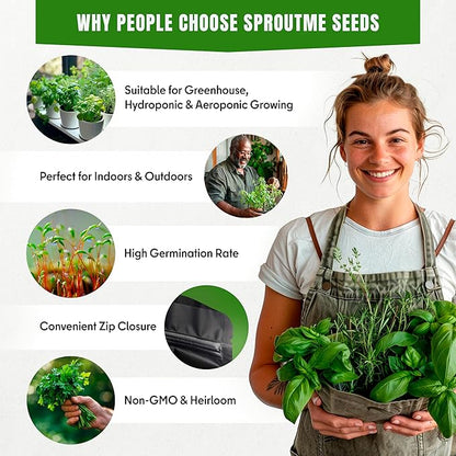 Hyssop Seeds for Planting – 150+ Non-GMO Heirloom Seeds, Blue Flowering Culinary Herb for Home Gardens (Hyssopus officinalis)