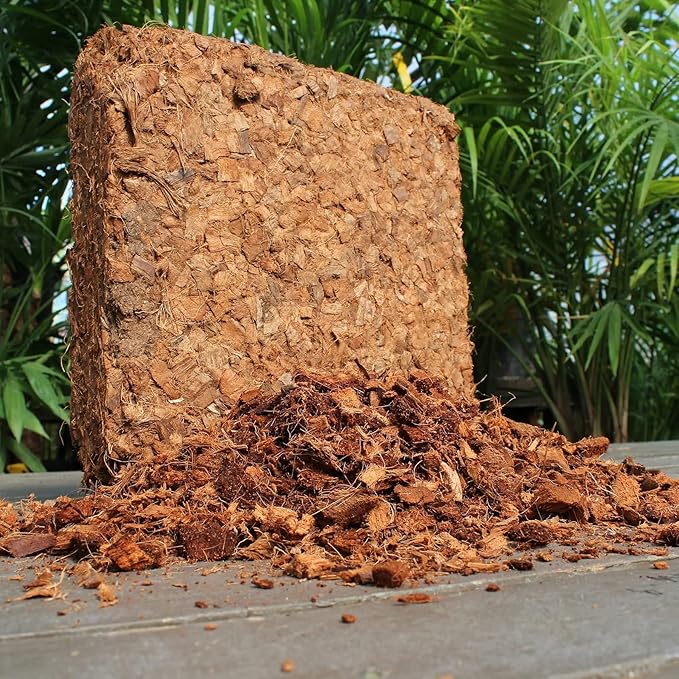 Coco Chips (10lbs) + Char Bliss (8 Qts) - Coco Chips for Plants & Organic Biochar for Plants - Biochar Soil Amendment & Coconut Mulch - Coco Coir Chips - Charcoal for Plants - Garden Soil Potting Mix