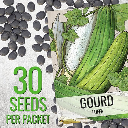 Seed Needs Luffa Seeds for Planting Loofah Sponge Gourds - Non-GMO Heirloom & Untreated Veggie Seed to Plant a Home Grown Outdoor Vegetable Garden (1 Pack)